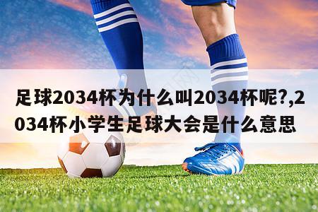 足球2034杯为什么叫2034杯呢?,2034杯小学生足球大会是什么意思